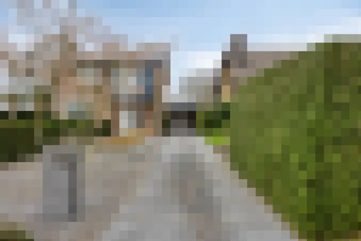 Blommert 11 Riel thumbnail 10