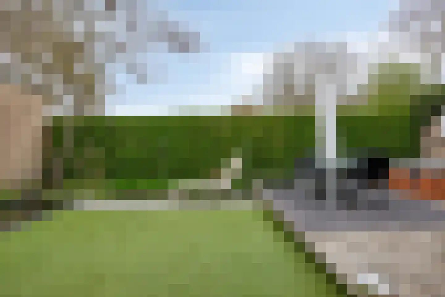 Blommert 11 Riel thumbnail 50