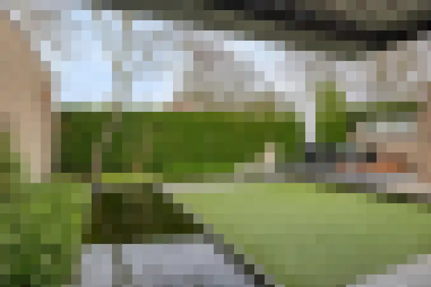 Blommert 11 Riel thumbnail 6