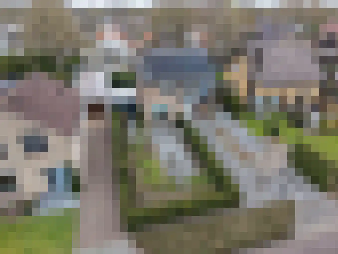 Blommert 11 Riel thumbnail 61
