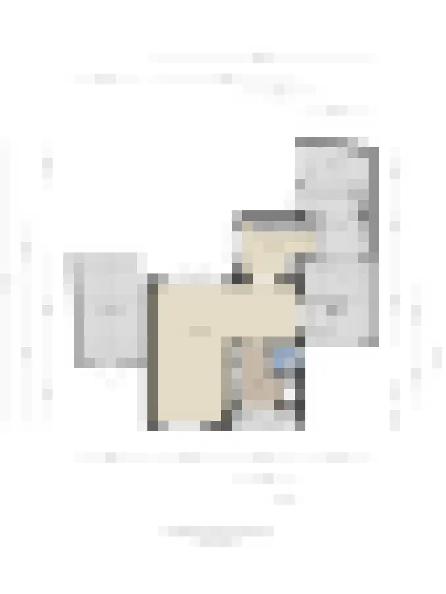 Blommert 11 Riel thumbnail 65