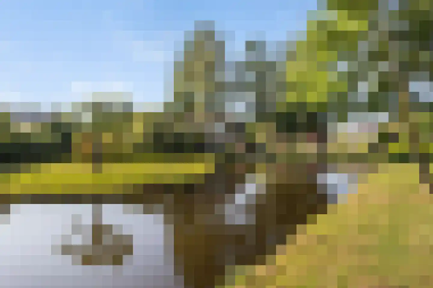 Blommesteinsingel 24 Gouda thumbnail 5