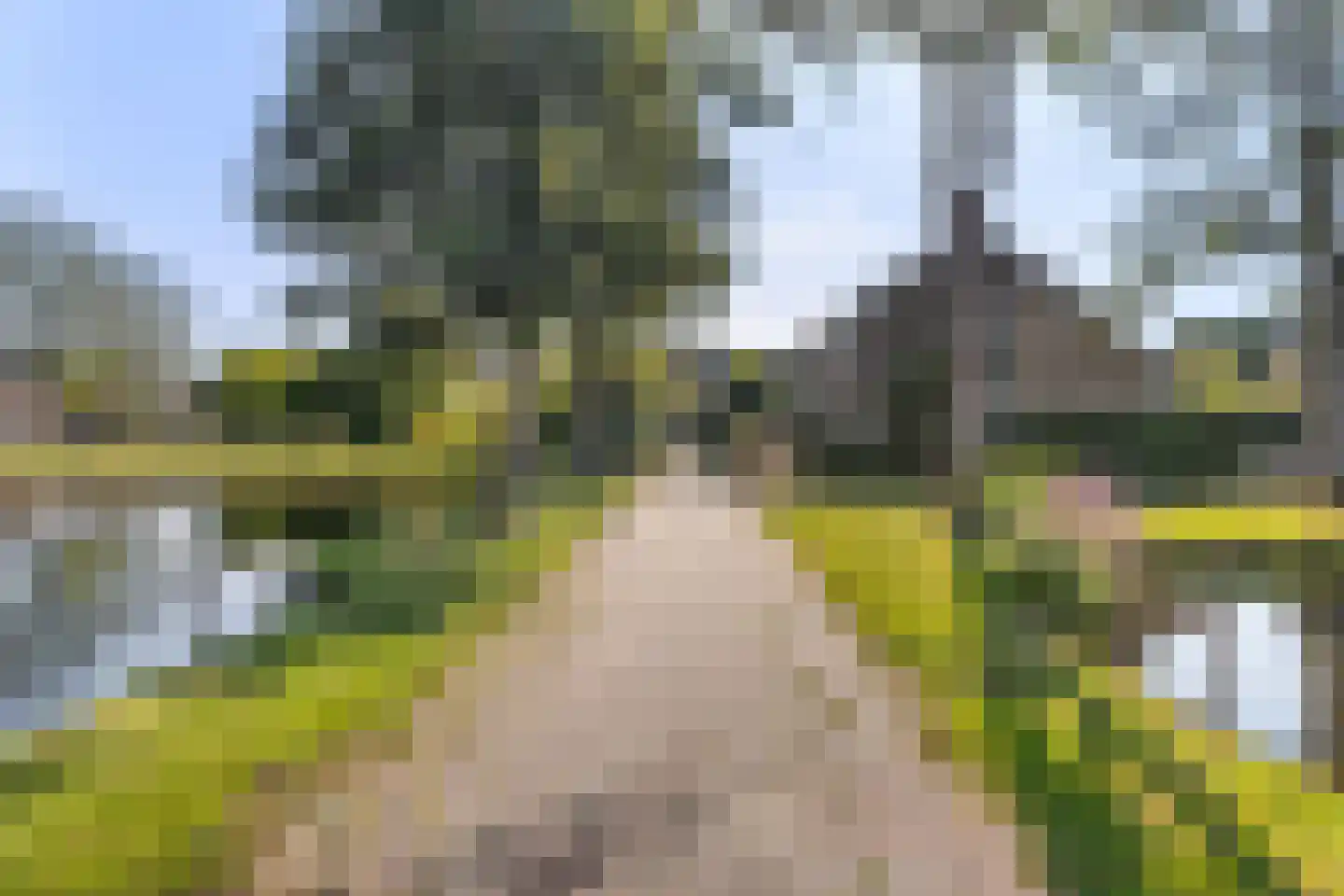 Blommesteinsingel 24 Gouda thumbnail 6