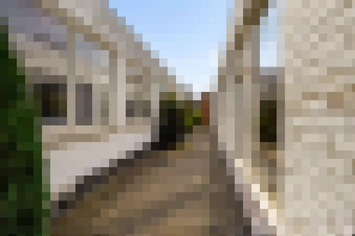 Blomsgaarden 15 Eibergen thumbnail 36