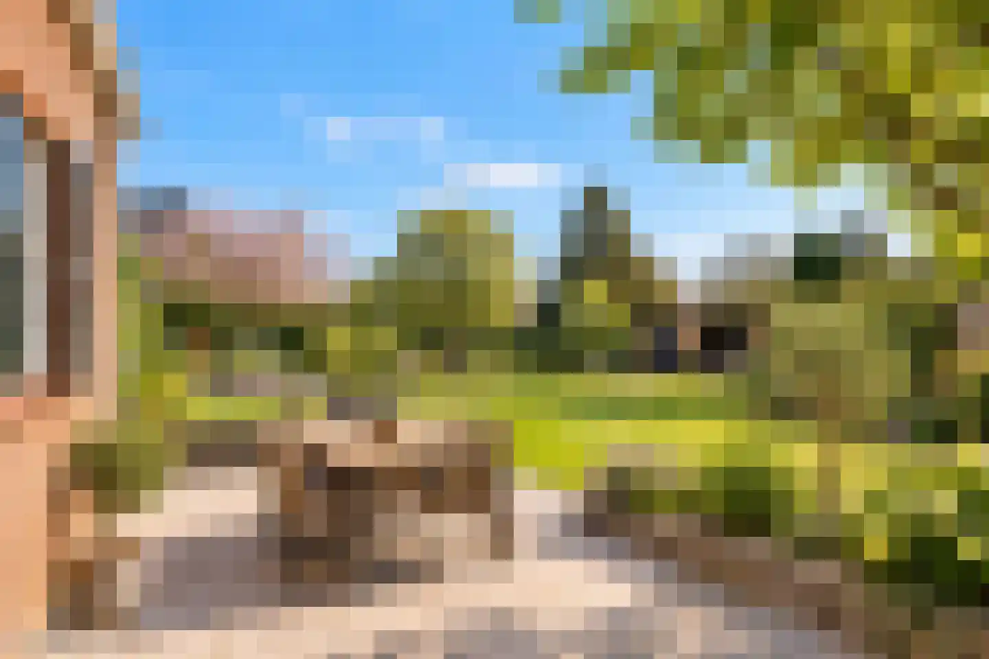 Blomsgaarden 15 Eibergen thumbnail 4