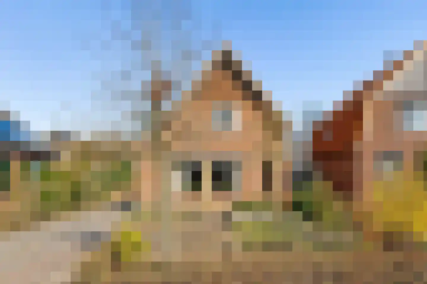 Blomsgaarden 15 Eibergen thumbnail 63