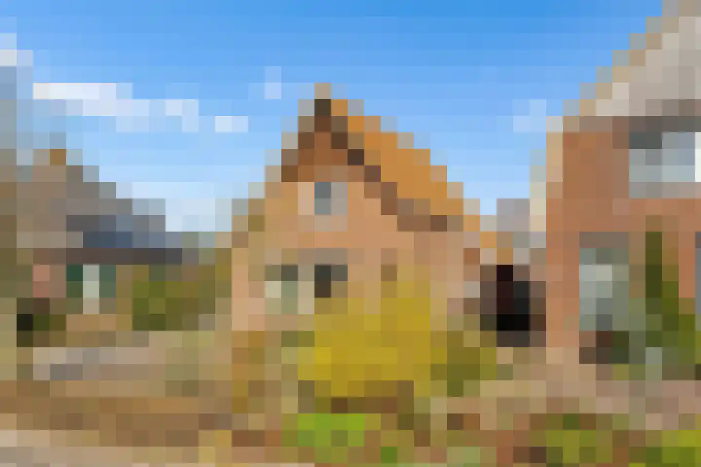 Blomsgaarden 15 Eibergen thumbnail 64