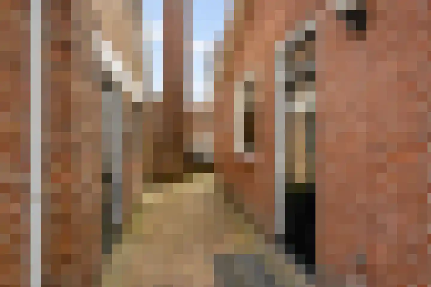 Blomsgaarden 15 Eibergen thumbnail 69