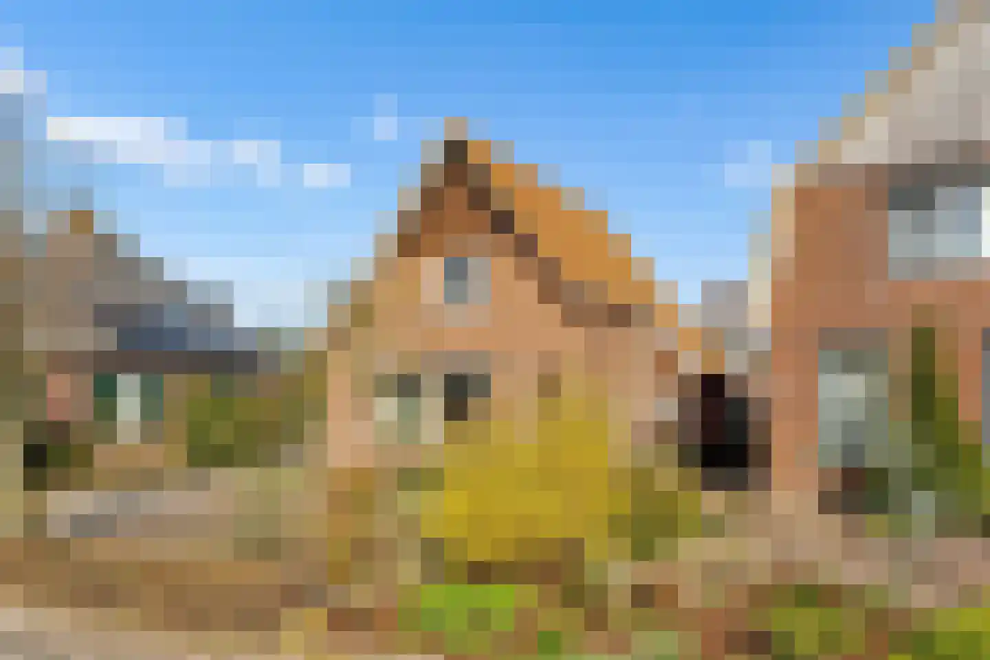 Blomsgaarden 15 Eibergen thumbnail 70