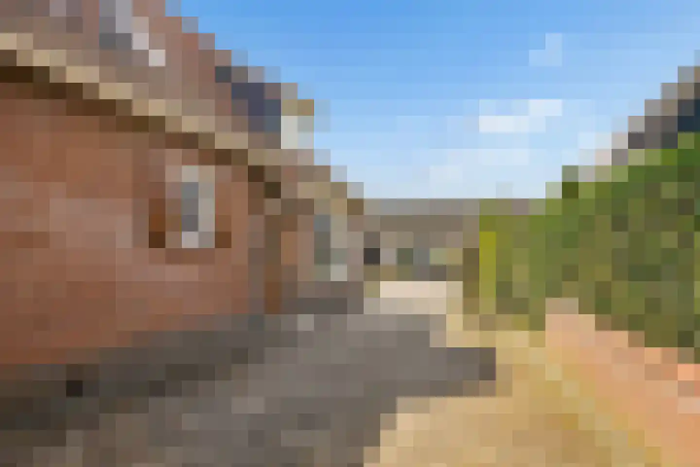 Blomsgaarden 15 Eibergen thumbnail 70