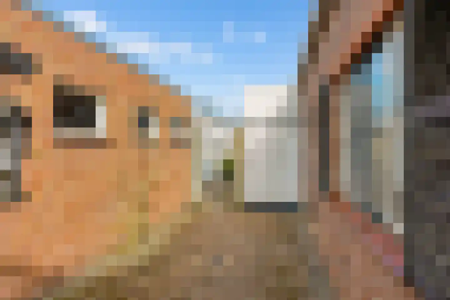 Blomsgaarden 15 Eibergen thumbnail 73