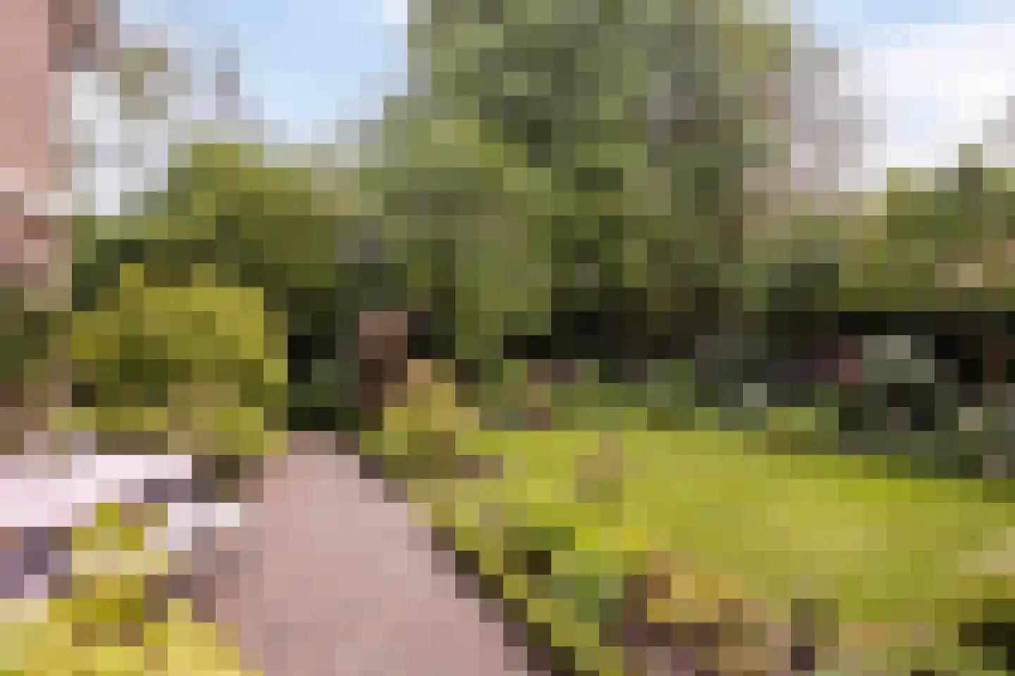 Blomsgaarden 25 Eibergen thumbnail 37