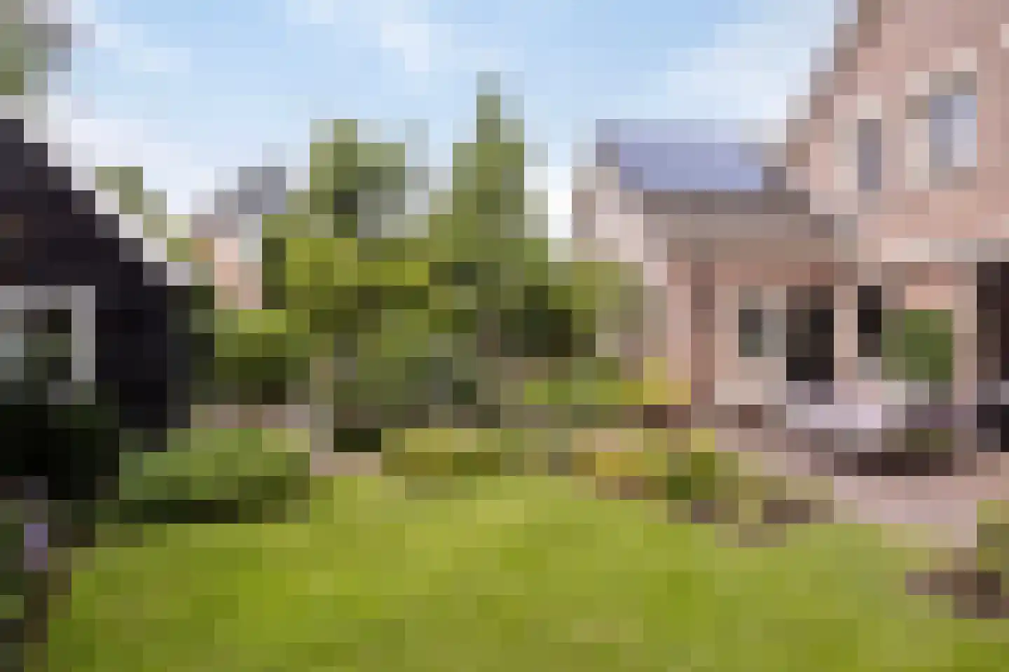 Blomsgaarden 25 Eibergen thumbnail 38
