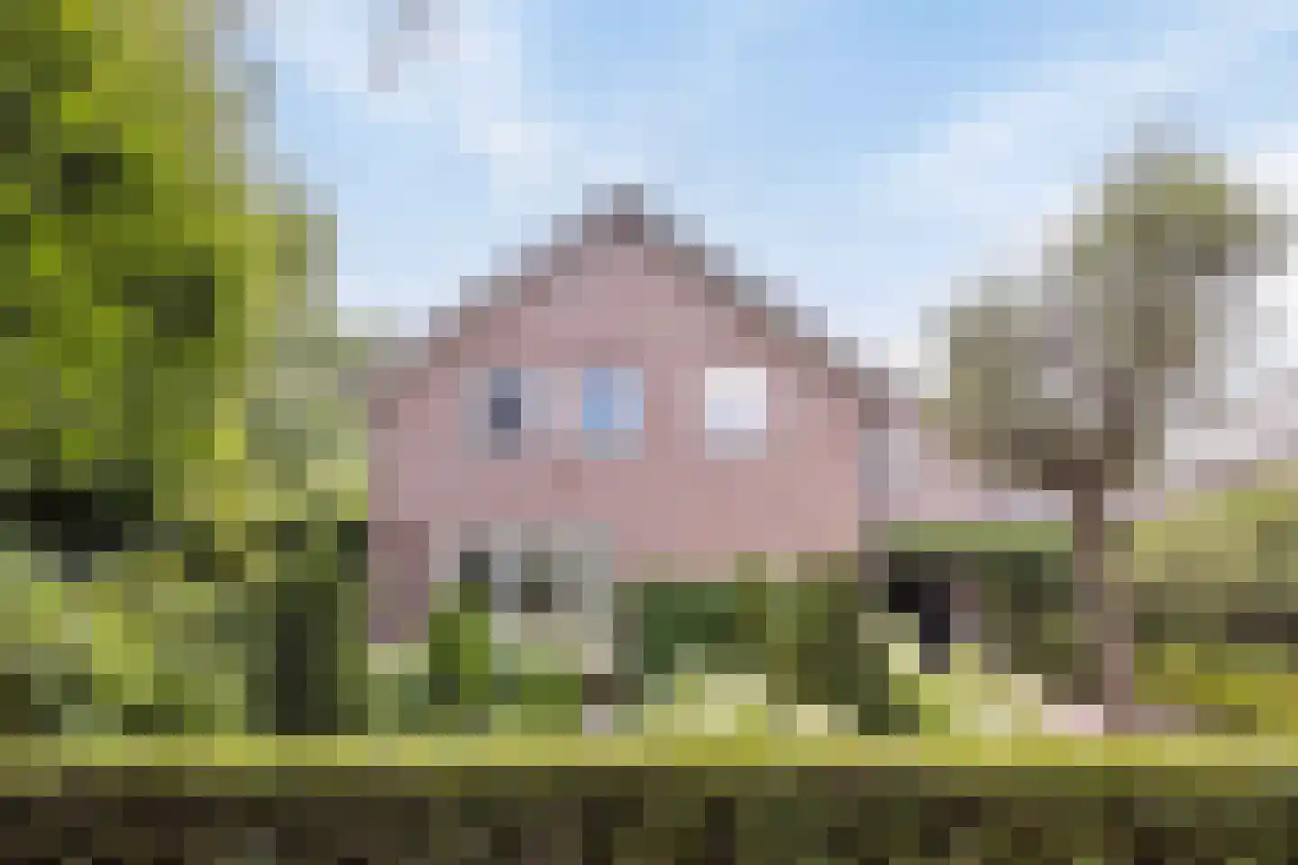 Blomsgaarden 25 Eibergen thumbnail 4