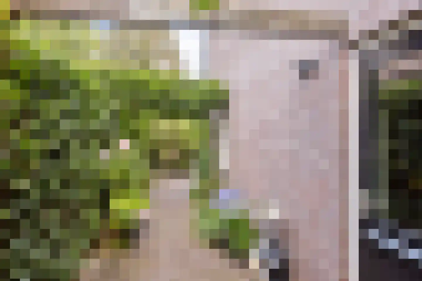 Blomsgaarden 25 Eibergen thumbnail 41