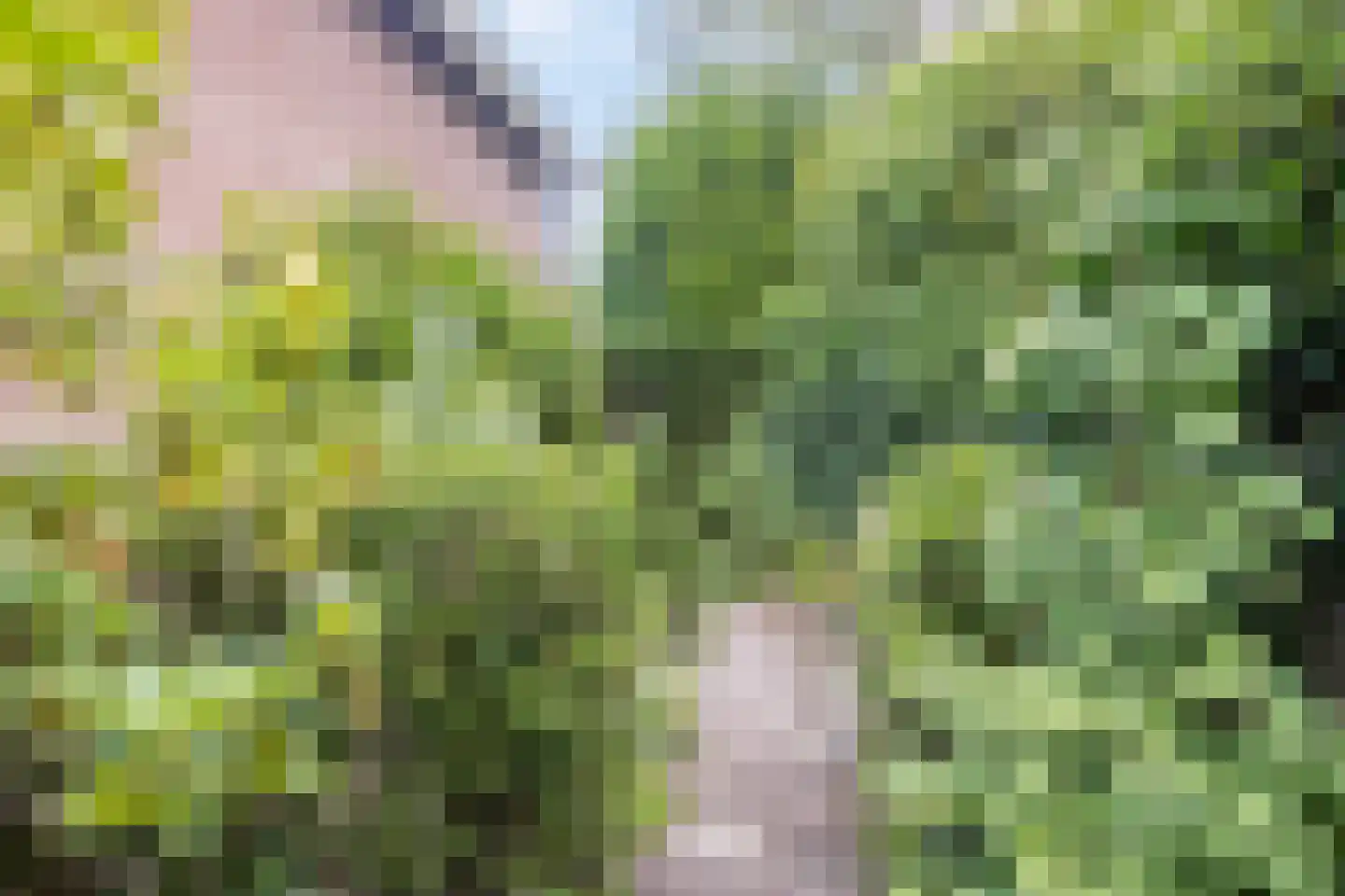 Blomsgaarden 25 Eibergen thumbnail 42