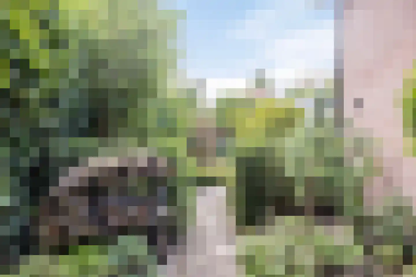 Blomsgaarden 25 Eibergen thumbnail 43