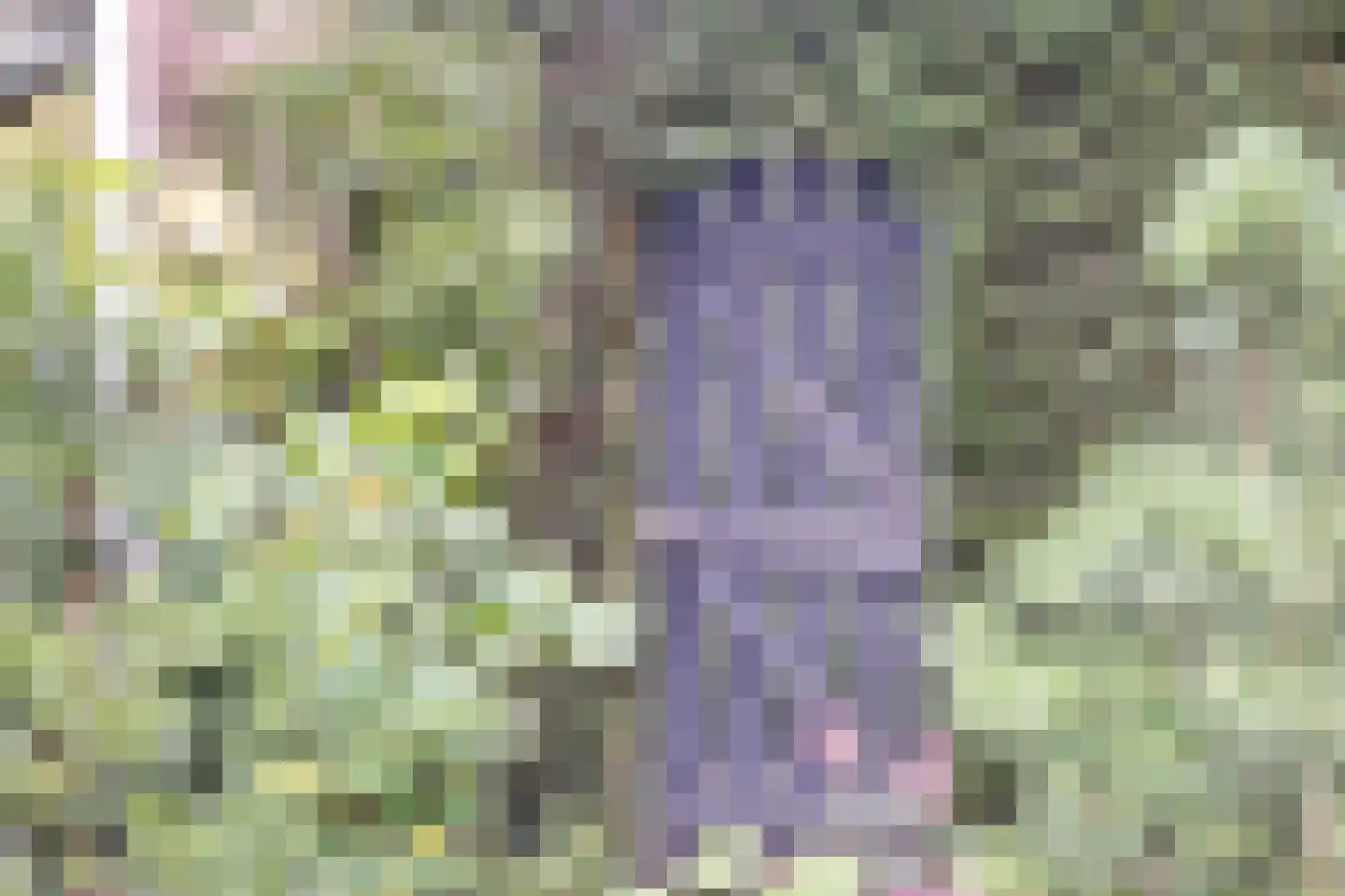 Blomsgaarden 25 Eibergen thumbnail 44