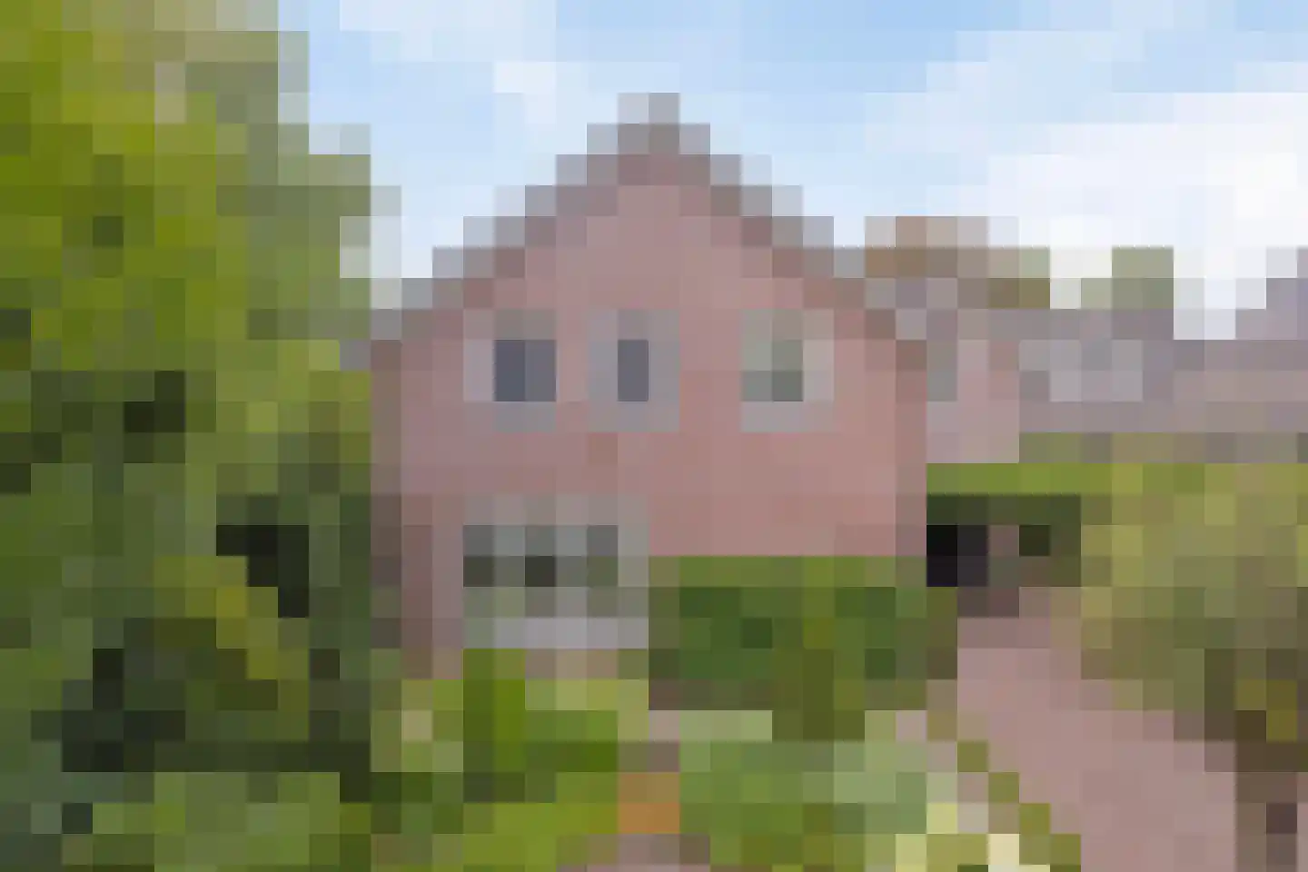 Blomsgaarden 25 Eibergen thumbnail 48
