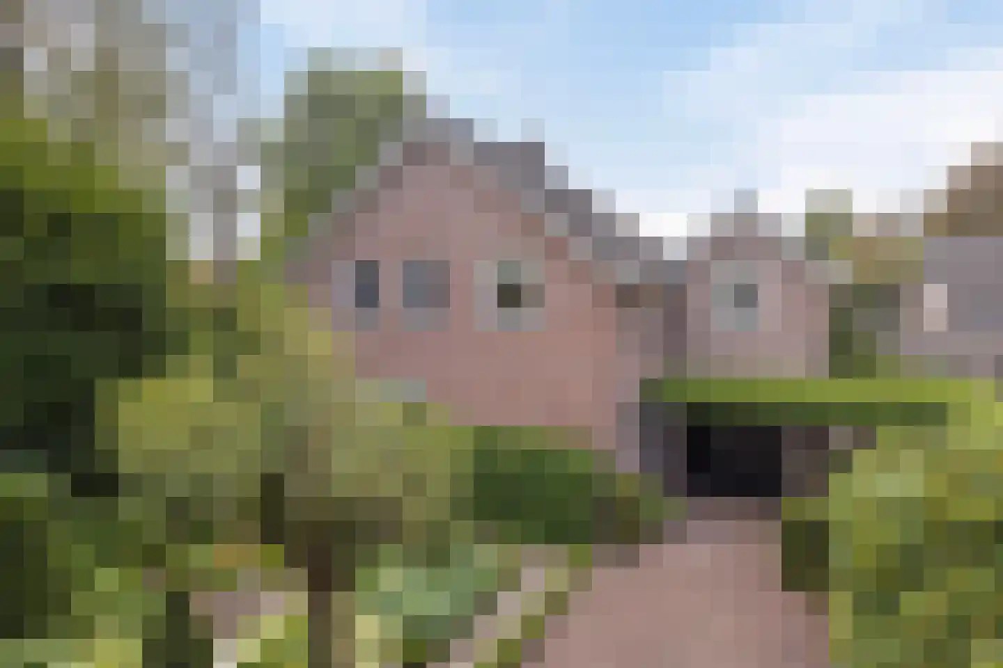 Blomsgaarden 25 Eibergen thumbnail 49