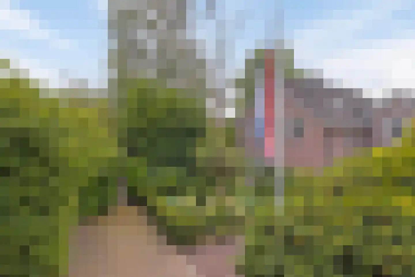Blomsgaarden 25 Eibergen thumbnail 50