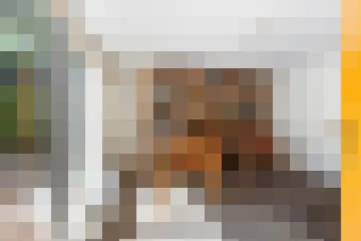 Blomsgaarden 31 Eibergen thumbnail 21