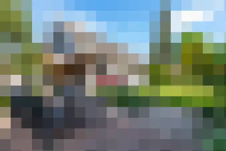 Blomsgaarden 31 Eibergen thumbnail 4