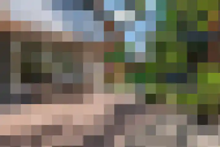 Blomsgaarden 31 Eibergen thumbnail 40
