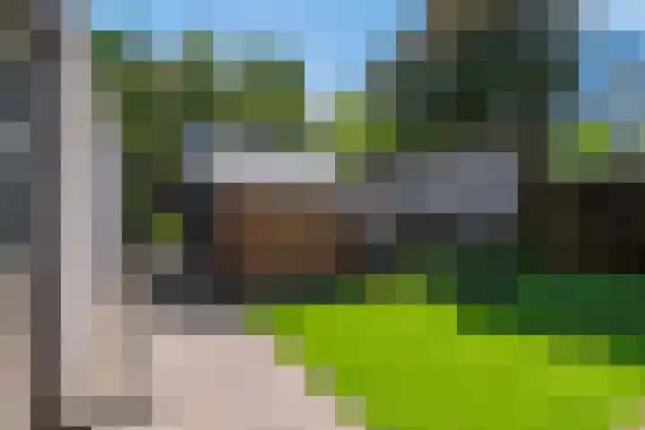 Blomsgaarden 31 Eibergen thumbnail 42