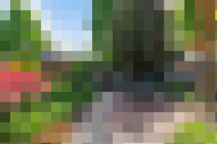 Blomsgaarden 31 Eibergen thumbnail 44