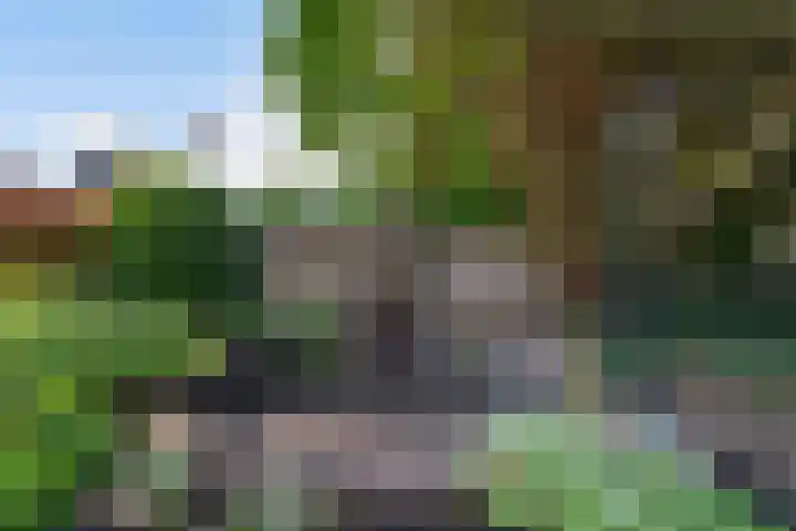 Blomsgaarden 31 Eibergen thumbnail 45