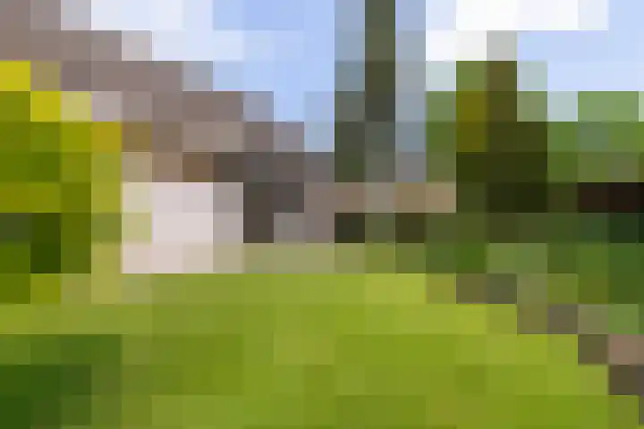 Blomsgaarden 31 Eibergen thumbnail 46