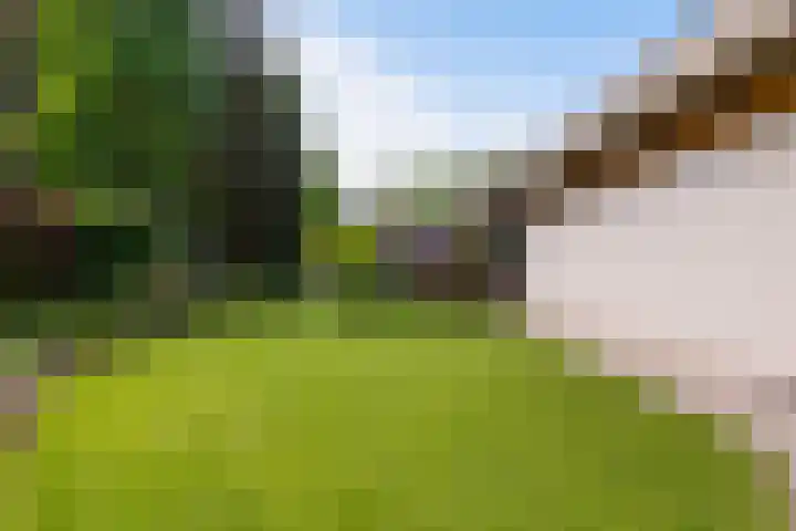 Blomsgaarden 31 Eibergen thumbnail 47