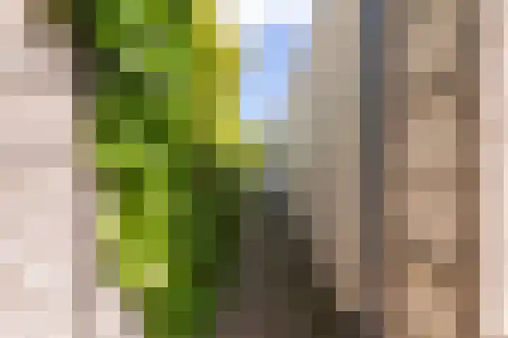 Blomsgaarden 31 Eibergen thumbnail 48