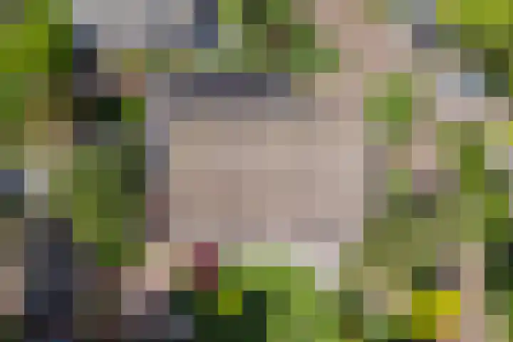 Blomsgaarden 31 Eibergen thumbnail 49