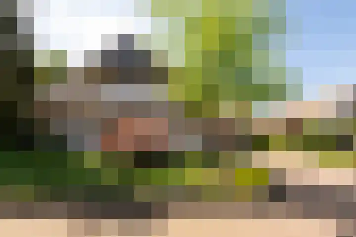 Blomsgaarden 31 Eibergen thumbnail 57