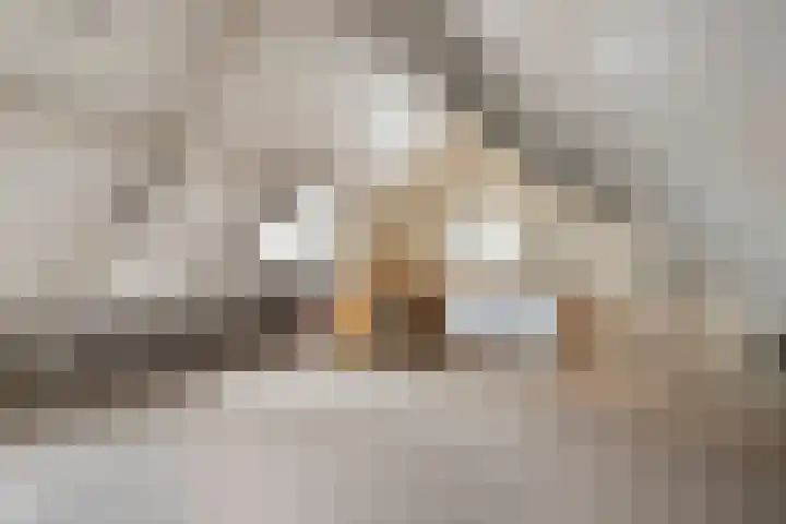 Blomslaan 1 Wolvega thumbnail 13
