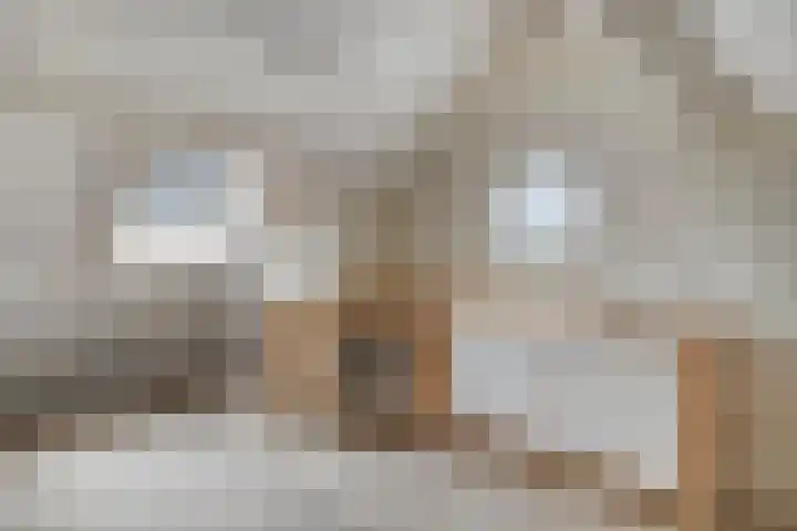 Blomslaan 1 Wolvega thumbnail 14