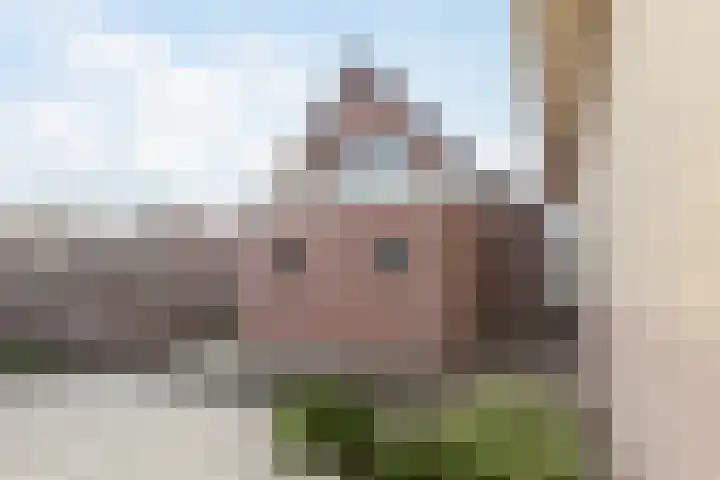 Blomslaan 20 Wolvega thumbnail 38