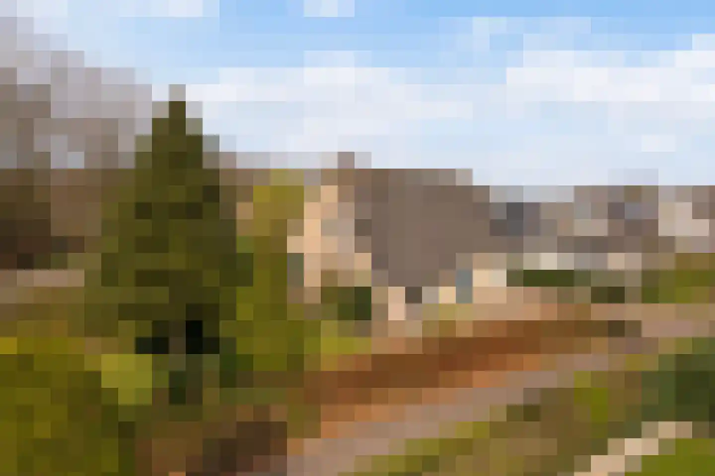 Blomspôle 6 Burgum thumbnail 44