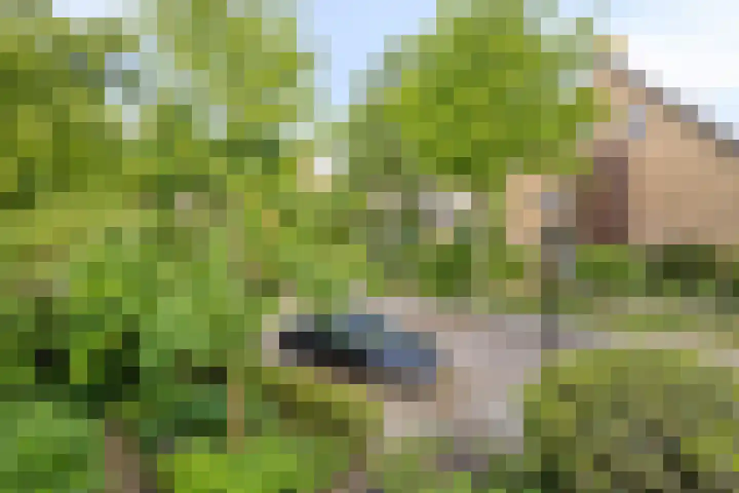 Blomswaard 21 Abcoude thumbnail 21