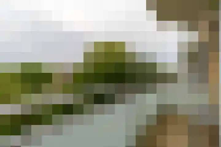 Blondeelstraat 124 Rotterdam thumbnail 13