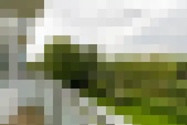 Blondeelstraat 124 Rotterdam thumbnail 14