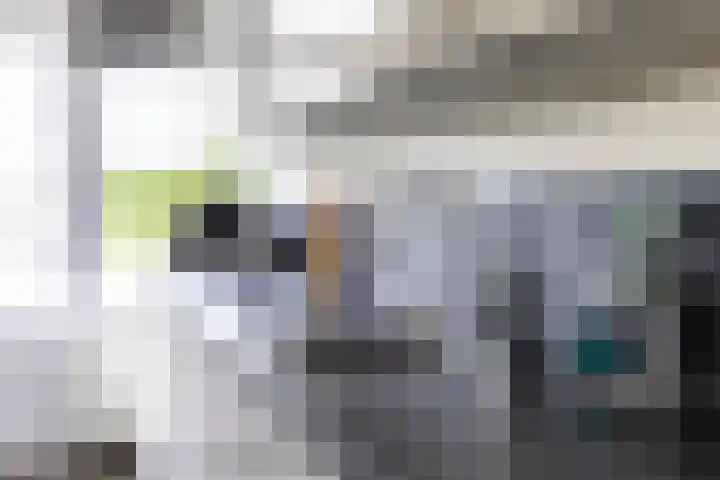 Blondeelstraat 124 Rotterdam thumbnail 9