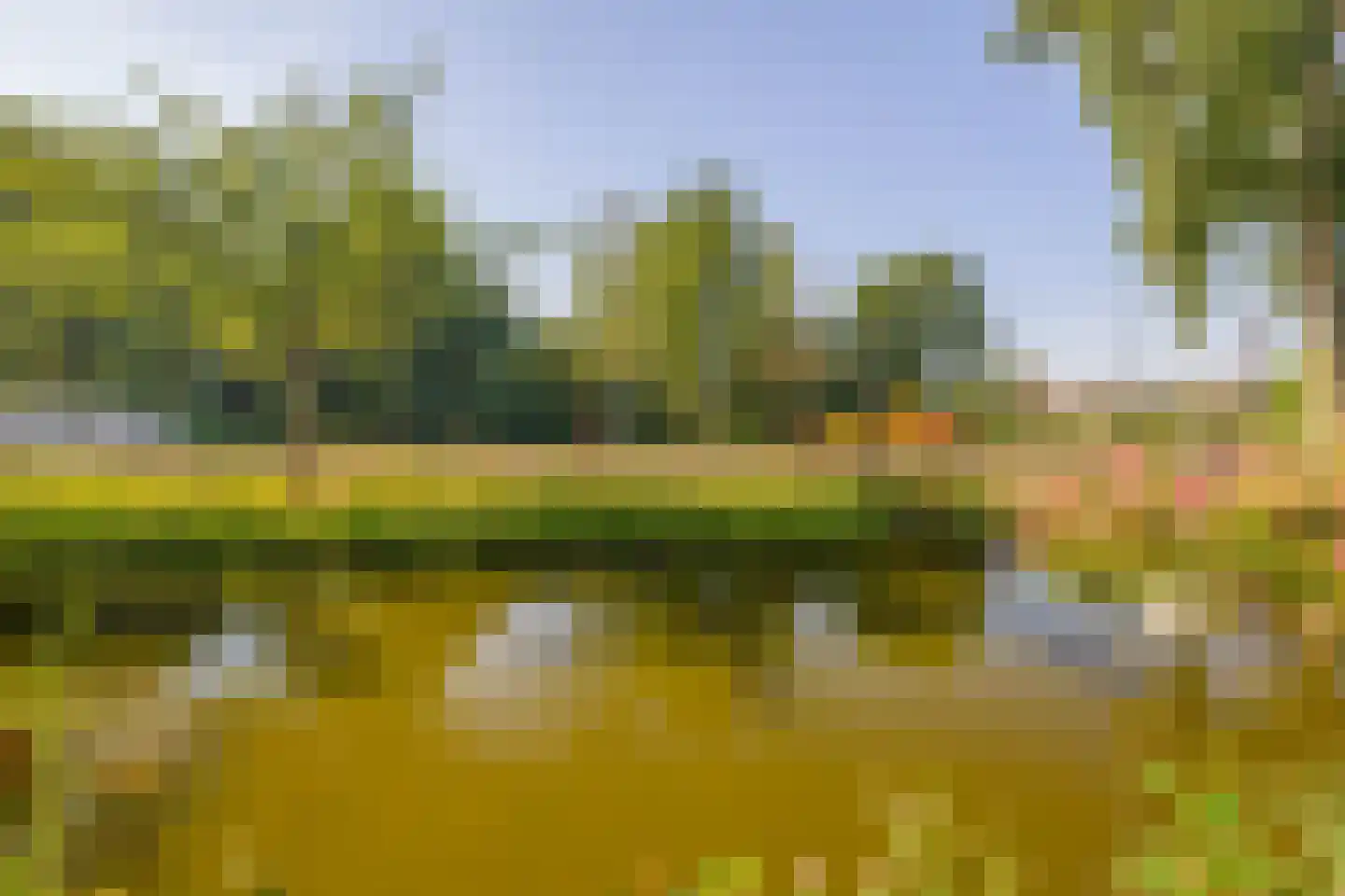 Blondeelstraat 236 Rotterdam thumbnail 4