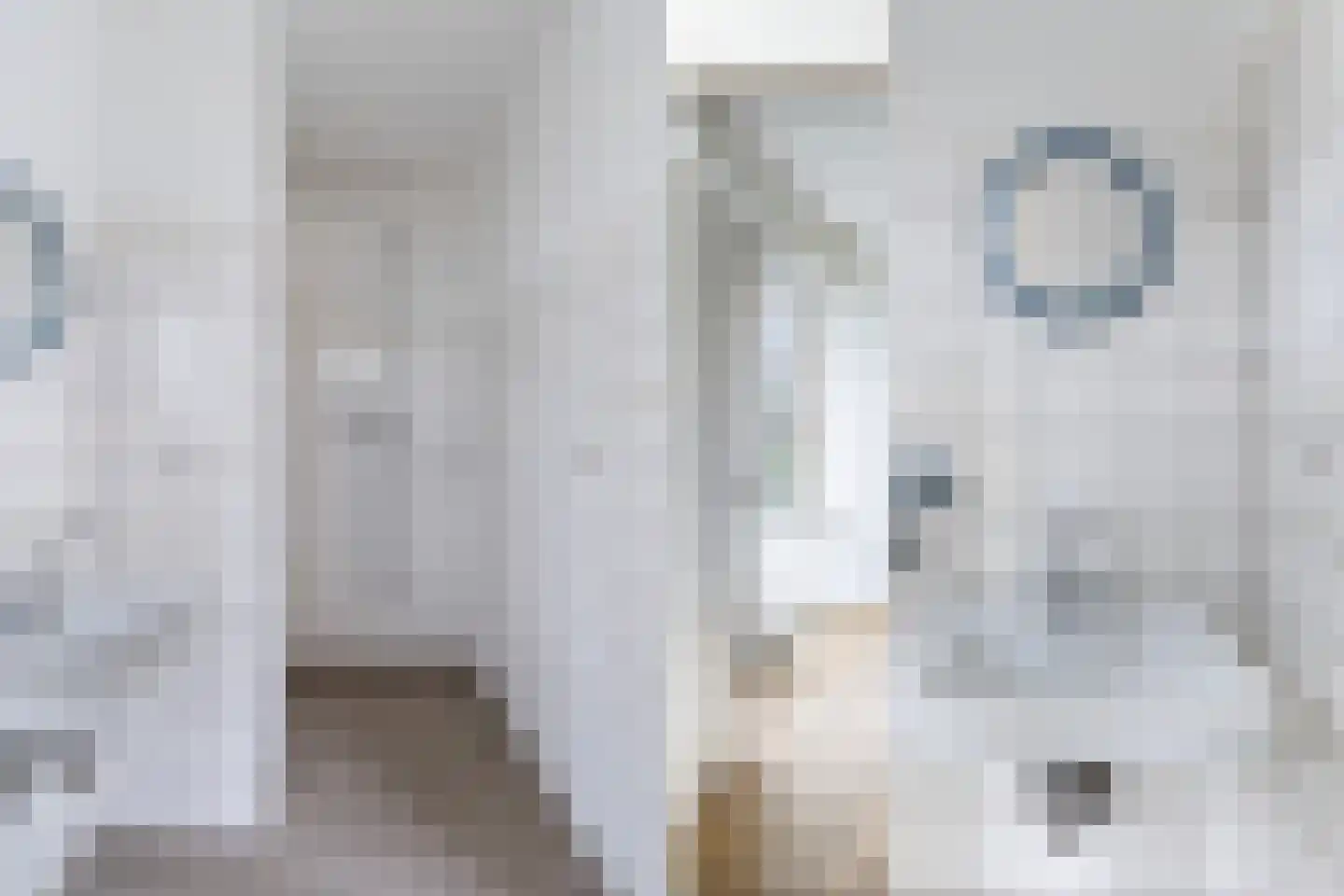 Blondeelstraat 54 Rotterdam thumbnail 17
