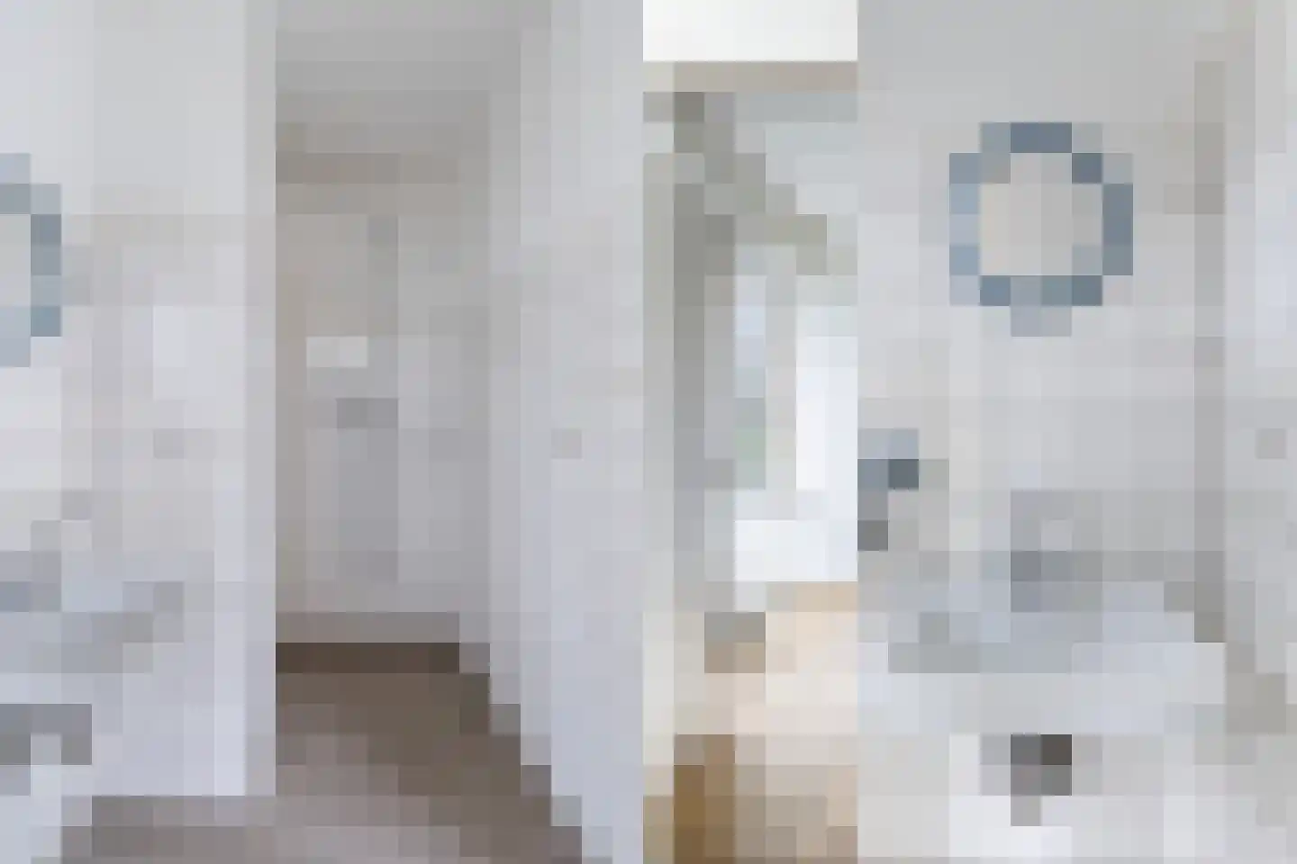Blondeelstraat 54 Rotterdam thumbnail 17