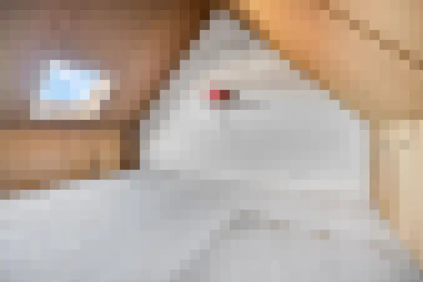 Blotenberglaan 31 Ede thumbnail 23