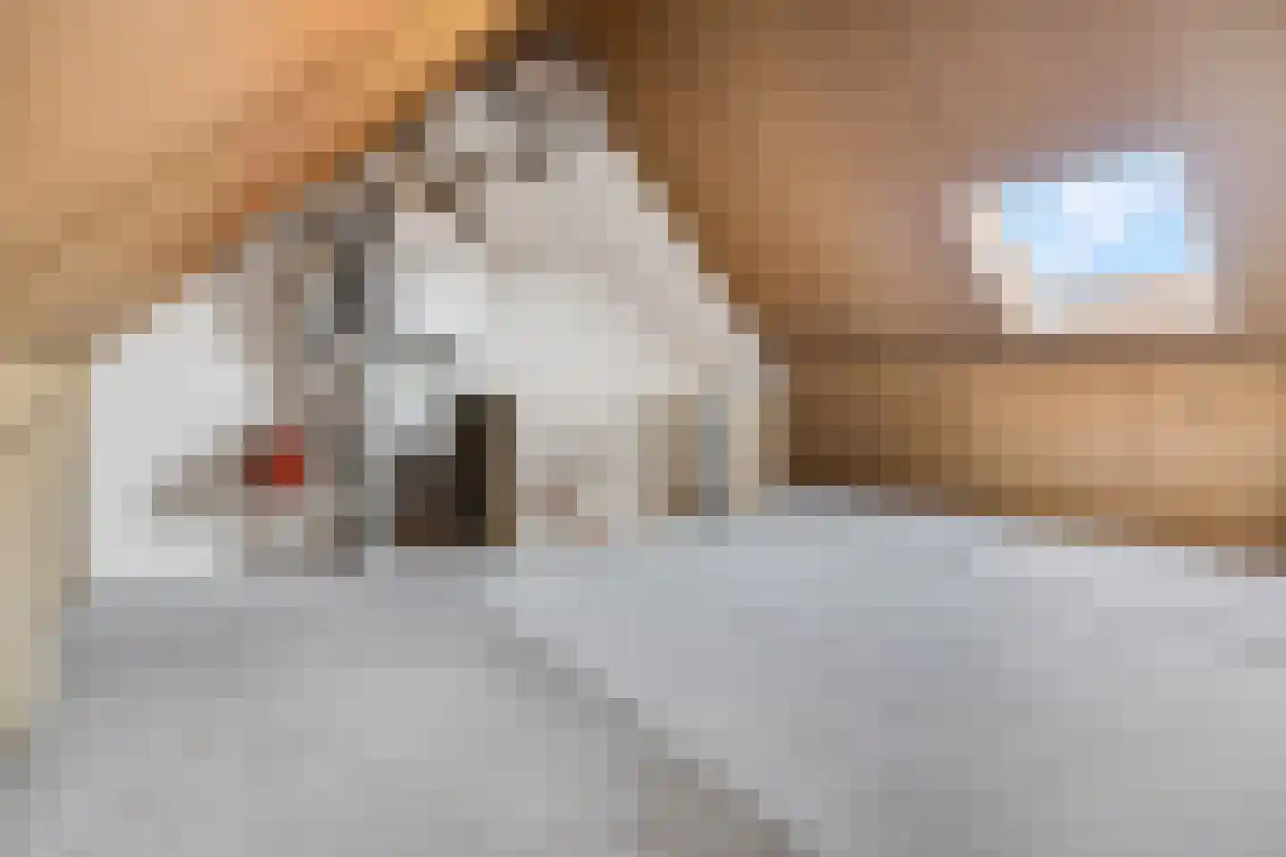 Blotenberglaan 31 Ede thumbnail 24