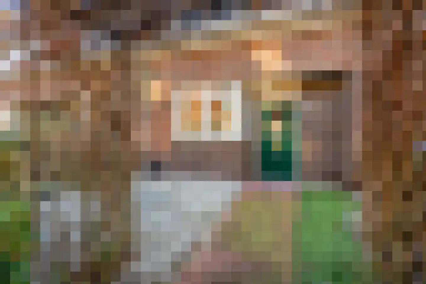 Blotenberglaan 31 Ede thumbnail 32